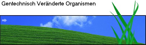 Gentechnisch Ver�nderte Organismen